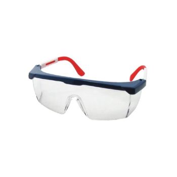 Safety Glasses with Ear Plugs