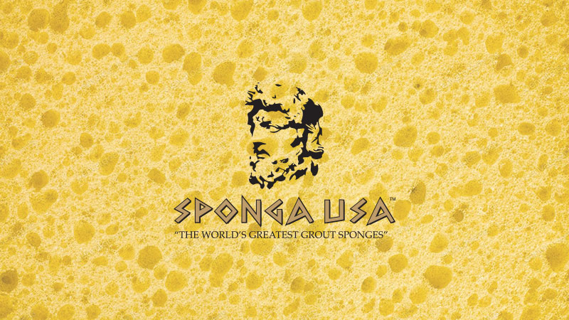 Sponga USA History Video